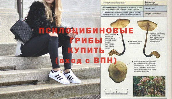альфа пвп Карпинск
