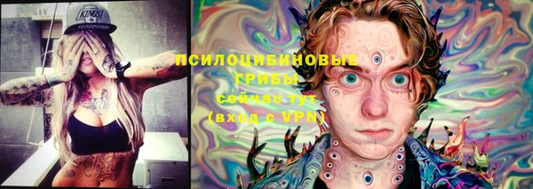 прущая мука Касимов